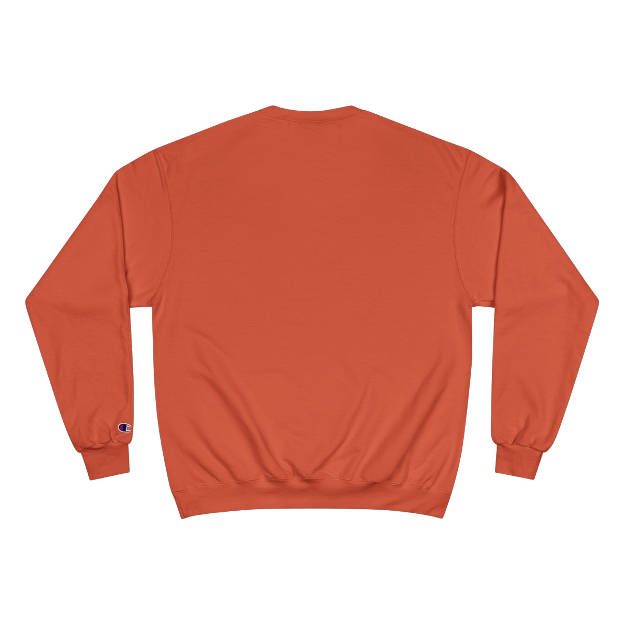 Spoiled Sweatshirt, Mono Color Design, CHAMPION BRAND - Image 10