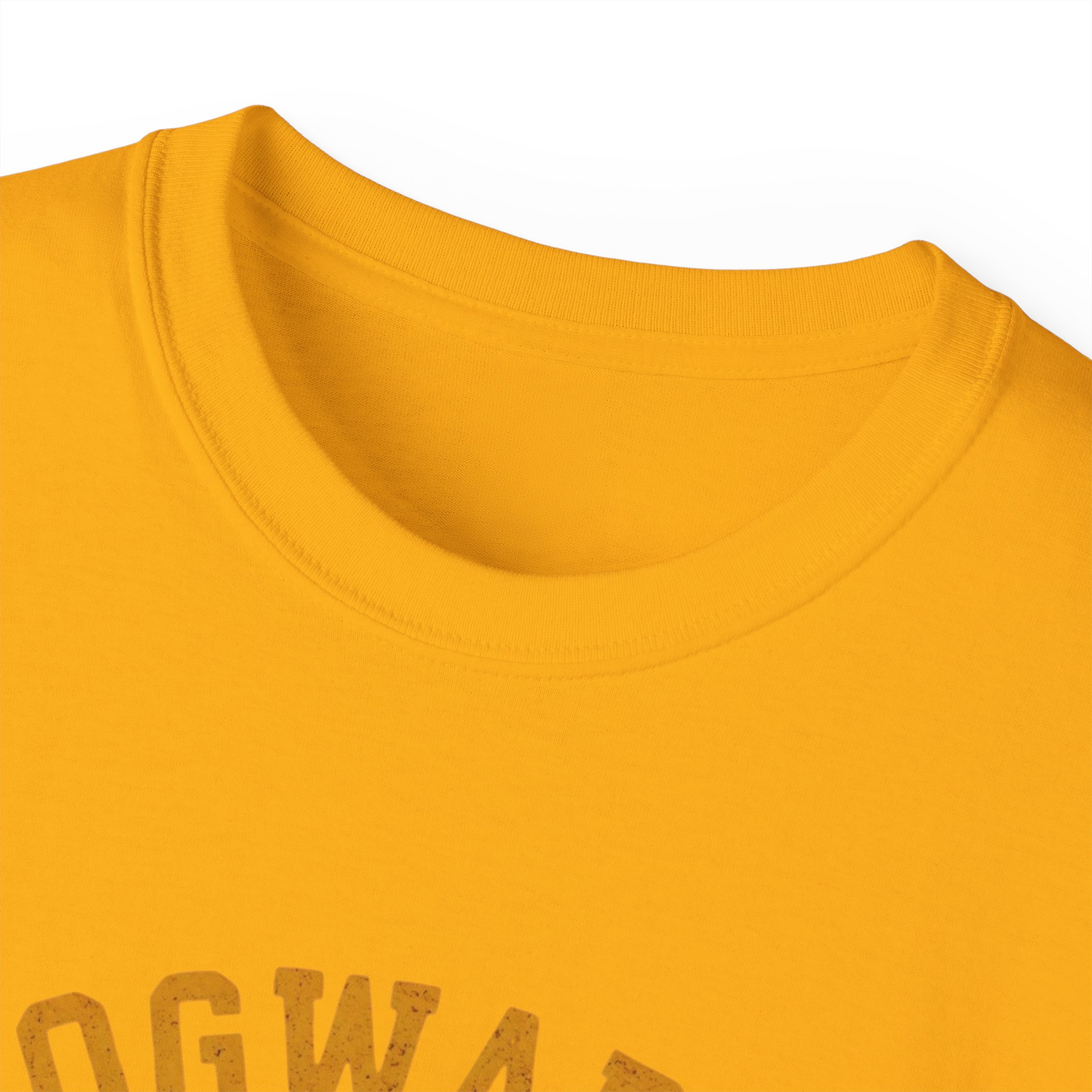 Hogwarts Athletic Dept T-Shirt, Unisex Cotton Tee for Fans, Gift for Potterheads, Cozy Wear for Casual Days, Perfect for Birthdays, - Image 11