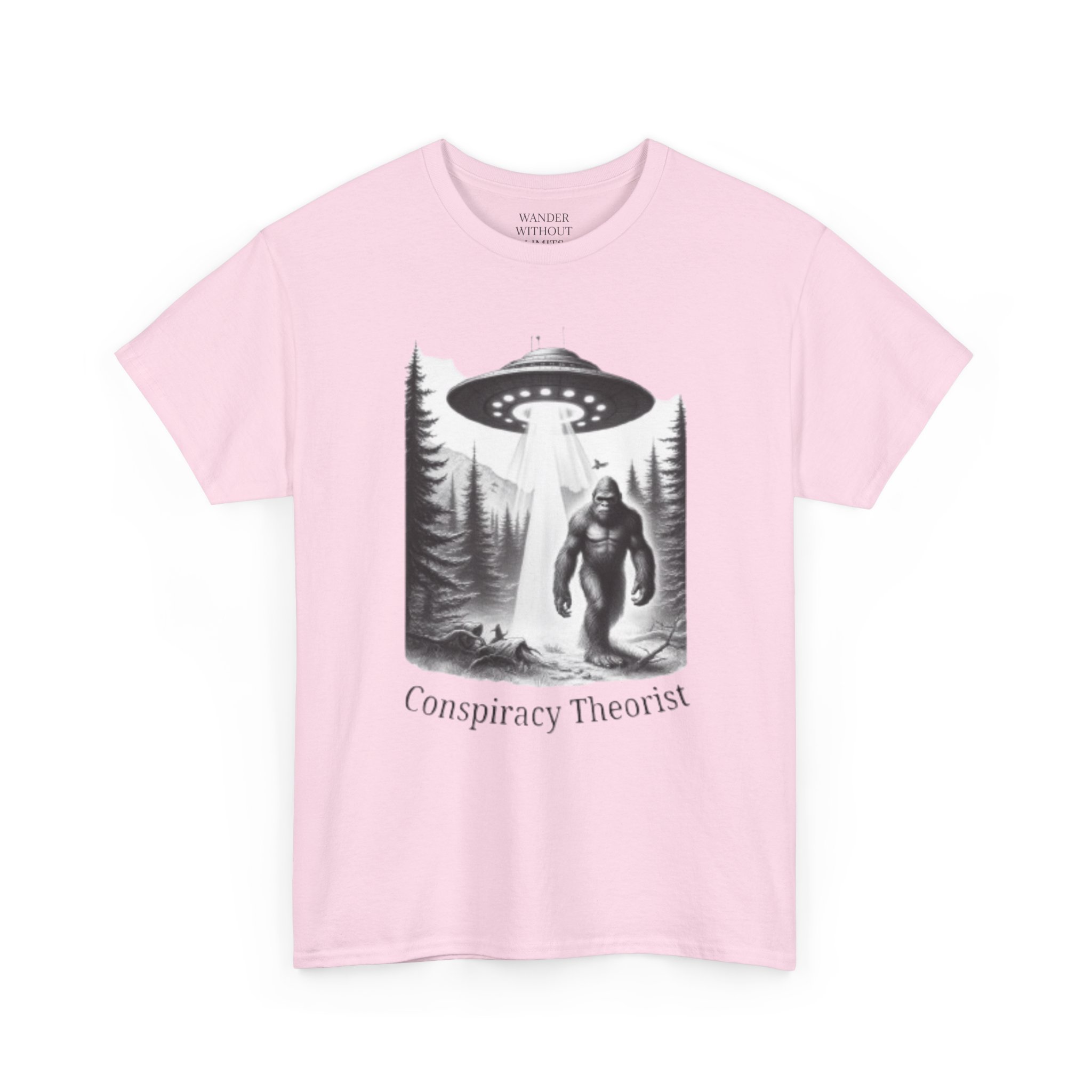 Funny Conspiracy Theory Unisex Tee, Yeti, UFO, Pacific Northwest Shirt for Camping, Aliens, Mythical Creatures, Conspiracy Theorists - Image 27
